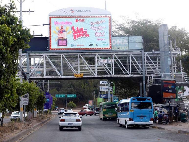 Puentes peatonales o pasos subterráneos, ¿Qué prefieren los capitalinos?