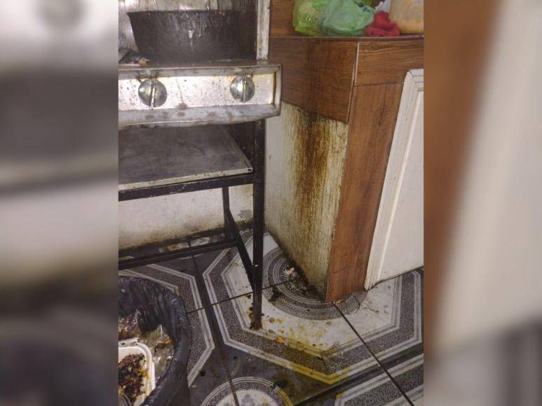 Cucarachas, gusanos y comida en mal estado: así hallaron restaurante en Choluteca