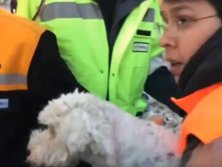 Así fue el impresionante rescate de un perrito entre los escombros cuatro días después del terremoto en Turquía