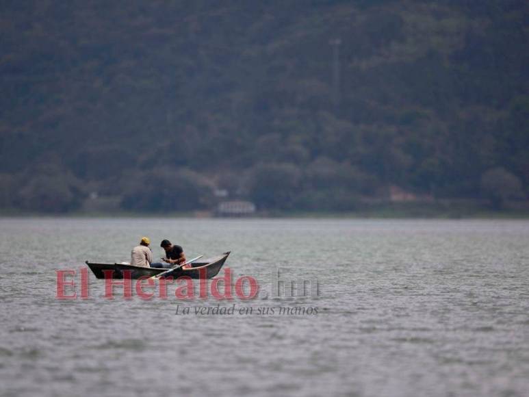 Heces, metales pesados y agroquímicos matan lentamente el Lago de Yojoa (FOTOS)