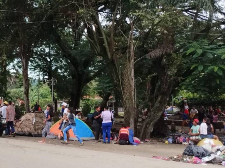 Migrantes siguen varados en Danlí; denuncian contaminación de ambientes por falta de sanitario