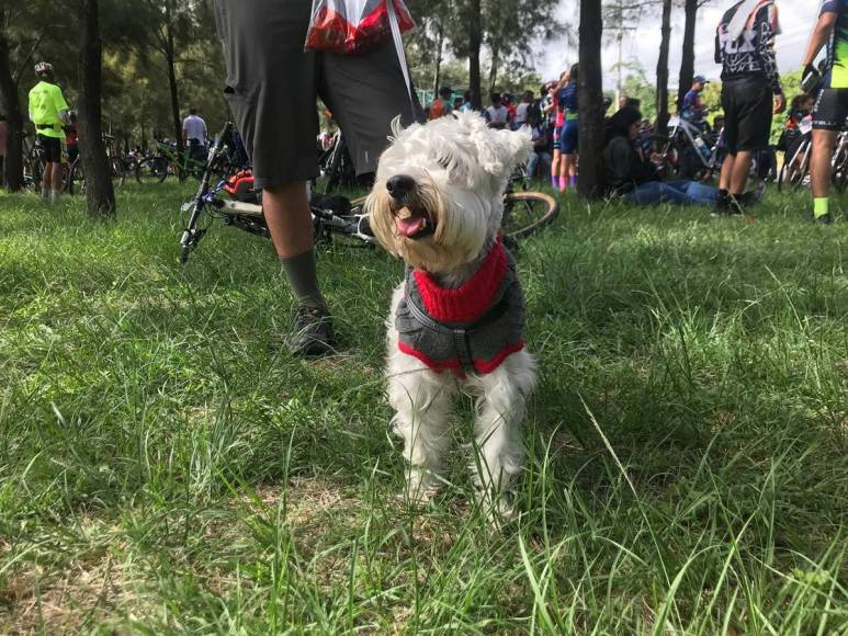 Las mascotas también formaron parte de la Vuelta Ciclística 2023