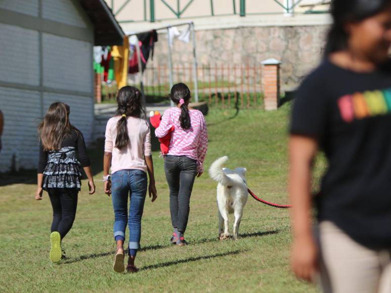 Rechazados, pero con esperanza de luchar por una vida digna: la cruda realidad de los niños abandonados en Honduras