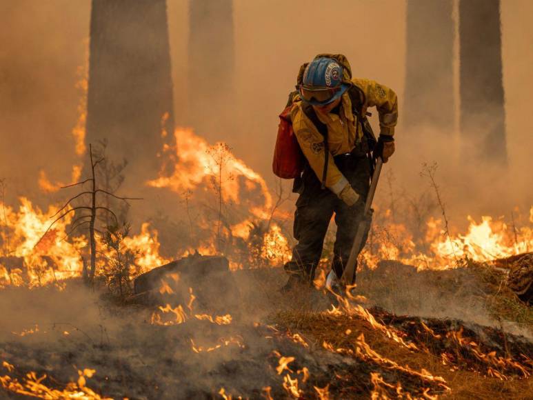 Imágenes del incendio catastrófico que arrasa el norte de California, EUA