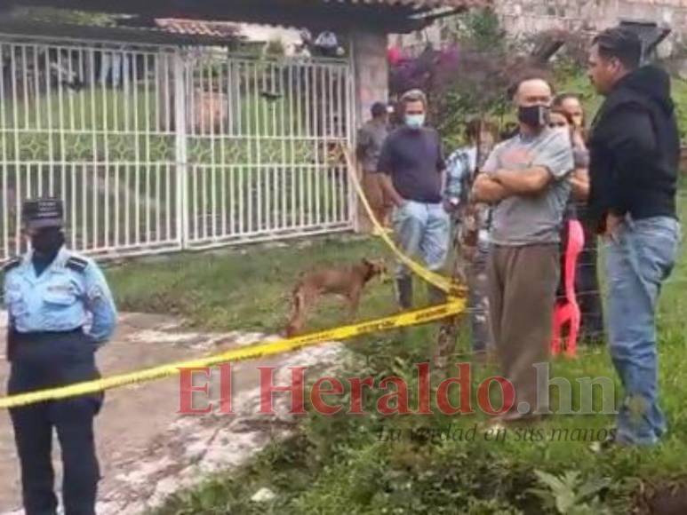 Así fue el mortal ataque de perros que acabó con la vida de un hombre en El Sauce, Valle de Ángeles