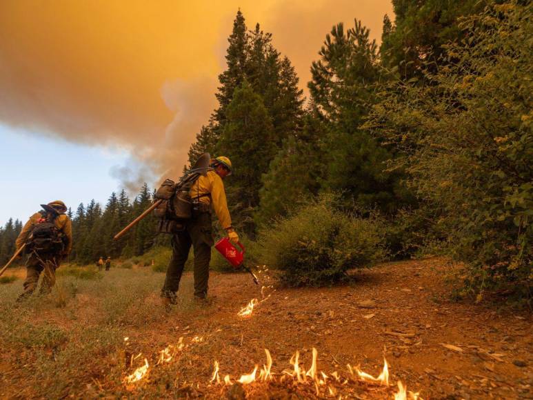 Imágenes del incendio catastrófico que arrasa el norte de California, EUA