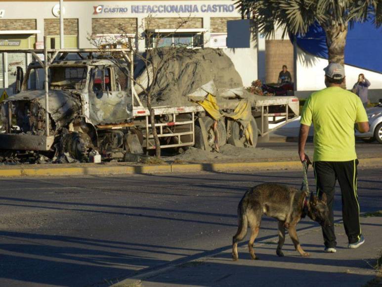 “Los Chapitos”, su nuevo modelo de negocio y las escenas de guerra que dejan sus actos