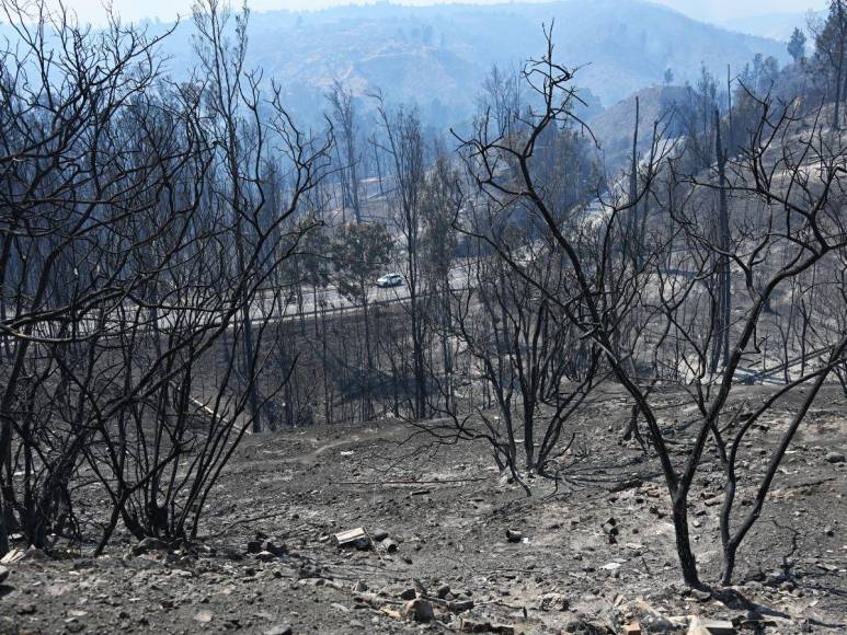 Terribles imágenes de incendios forestales en Chile; hay al menos 19 muertos