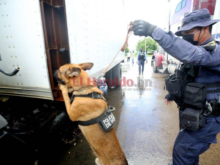 Puntos ciegos: Las rutas que el narcotráfico utiliza en Honduras para evadir a las autoridades