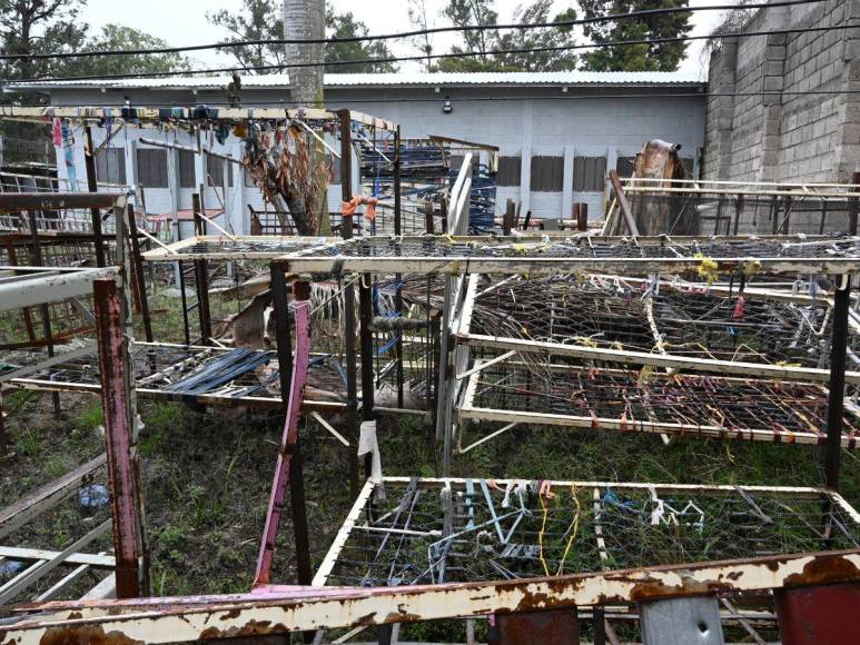 “Llamaban a las reclusas que buscaban por sus nombres”: narran horror vivido hace un año en PNFAS