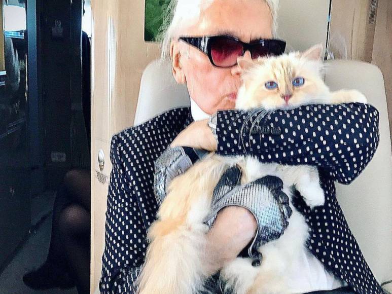 ¿Quién es Choupette, la gata de Karl Lagerfield que fue protagonista de la Met Gala?