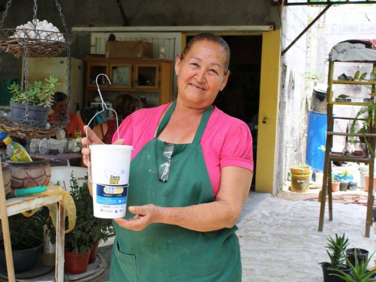 ¿Qué es el método Wolbachia que se usará para combatir el dengue en Honduras?