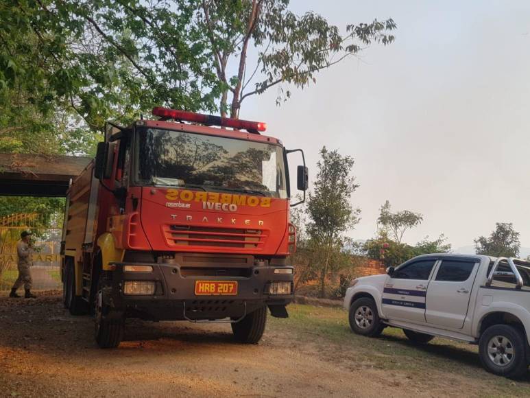 Las impactantes imágenes del incendio forestal que arrasó con todo a su paso en cerro El Trigo