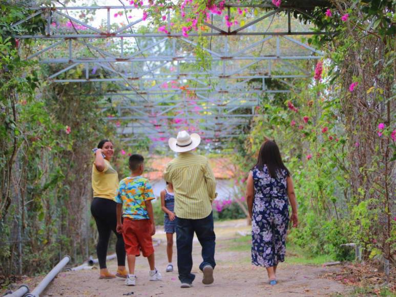 Adrenalina y ambiente familiar: así es la increíble experiencia al visitar el Laberinto de Cipreses en Comayagua