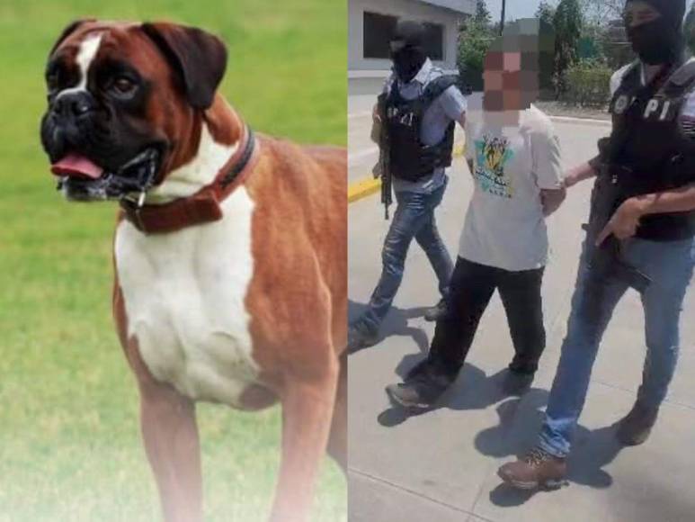 Dueño de perro asesinó a machetazos a vecino: lo que se sabe del crimen en San Pedro Sula