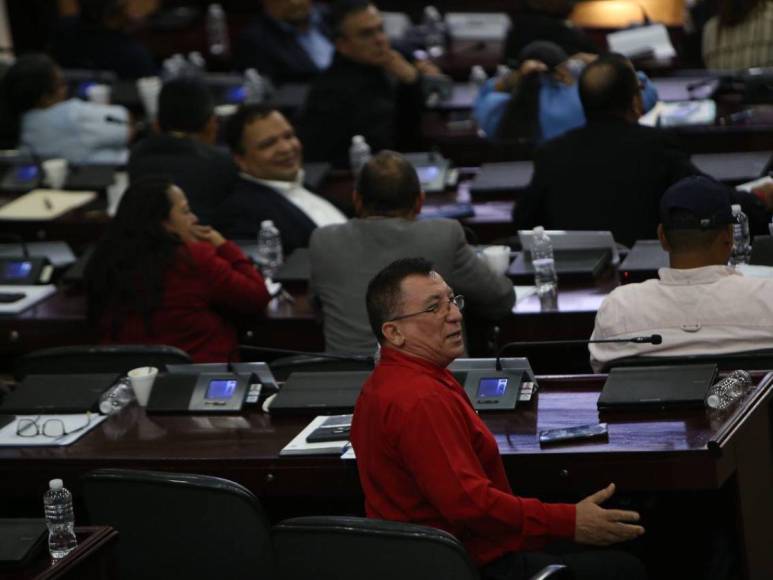 Diputados vuelven a sesionar en el Congreso Nacional entre dimes y diretes