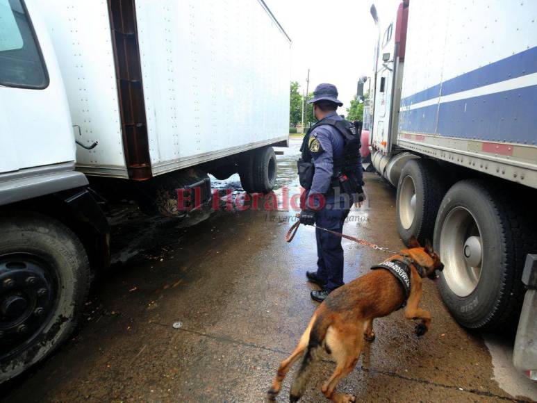 Puntos ciegos: Las rutas que el narcotráfico utiliza en Honduras para evadir a las autoridades