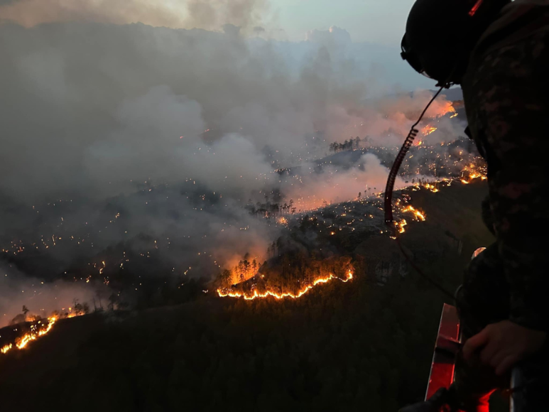 Fotos del incendio en La Tigra: El escenario devastador en el pulmón de la capital