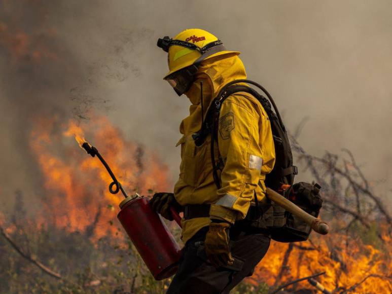 Incendio en California deja evacuados, casas convertidas en ceniza y bosques quemados