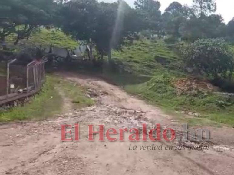 Así fue el mortal ataque de perros que acabó con la vida de un hombre en El Sauce, Valle de Ángeles