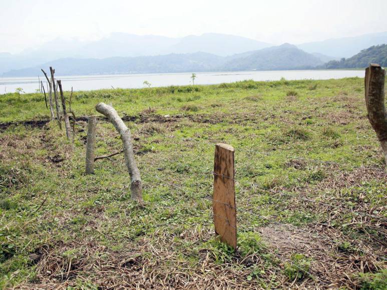 Las imágenes que muestran la deforestación e invasiones que amenazan al Lago de Yojoa