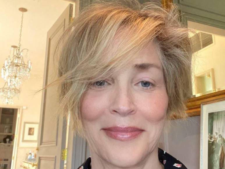 Sharon Stone, la actriz que sufrió nueve abortos antes de adoptar a sus tres hijos