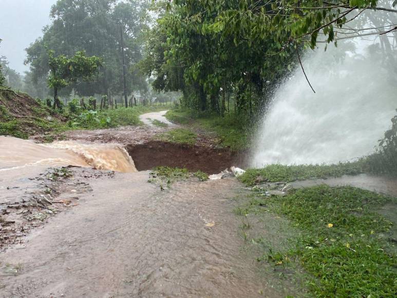 Ríos desbordados e inundaciones: Daños por fuertes lluvias en Atlántida