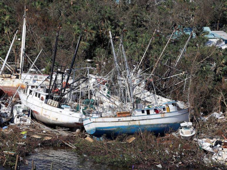 El huracán Ian deja miedo, inundaciones y árboles caídos en el suroeste de Florida