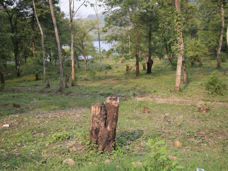 Las imágenes que muestran la deforestación e invasiones que amenazan al Lago de Yojoa