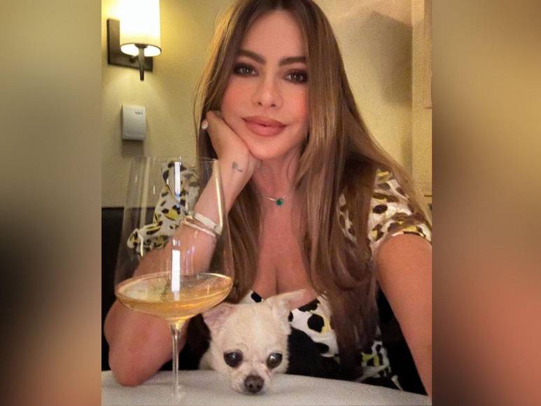 Bubbles, la perrita de Sofía Vergara y Joe Manganiello que complica su divorcio