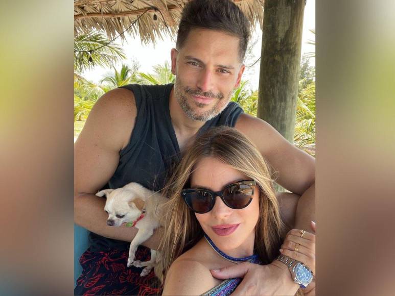 Bubbles, la perrita de Sofía Vergara y Joe Manganiello que complica su divorcio