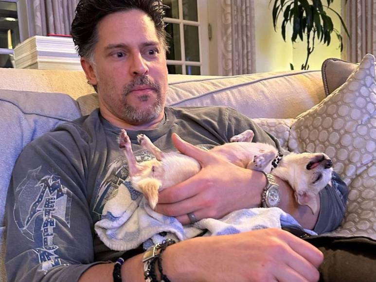 Bubbles, la perrita de Sofía Vergara y Joe Manganiello que complica su divorcio