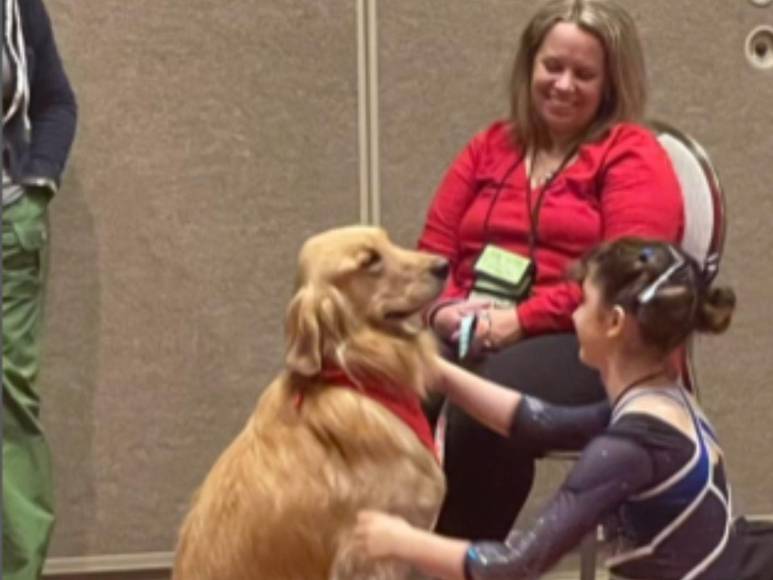 ¿Quién es Beacon, el perro terapia que forma parte del team USA de gimnasia?