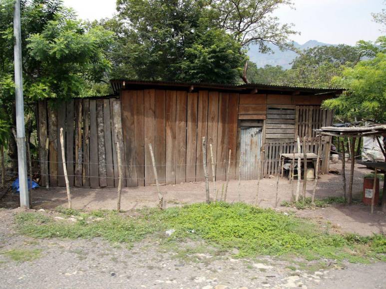 Las imágenes que muestran la deforestación e invasiones que amenazan al Lago de Yojoa