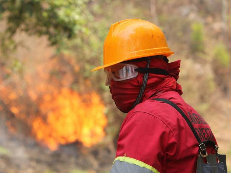 Bruma y árboles quemados se apoderan de La Tigra: así es el ambiente desde adentro