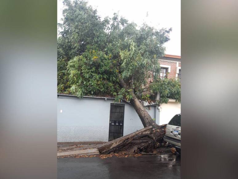 Caos en Tegucigalpa: fuertes lluvias causan daños en calles, carros y motocicletas