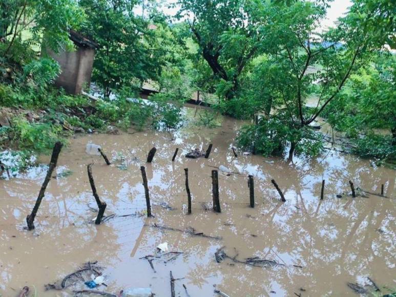 Nuevamente desbordado el río Goascorán en Costa de los Amates: bordos de contención cedieron a la primera tormenta de septiembre