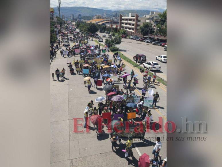 Devoción y fe: Capitalinos celebran Día de la Biblia (FOTOS)