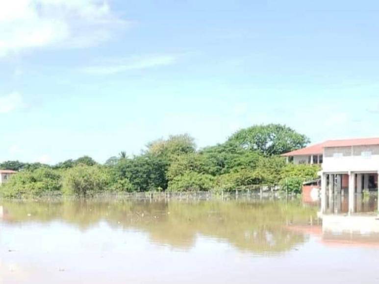 Fuertes lluvias desencadenan inundaciones en El Cubulero, Alianza, Valle