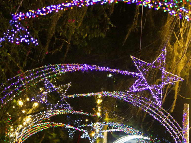 Luces navideñas adornan las noches en El Picacho