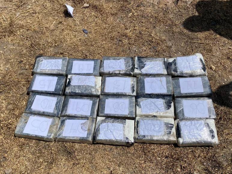 Incineran 20 kilos de cocaína valorada en 7 millones de lempiras