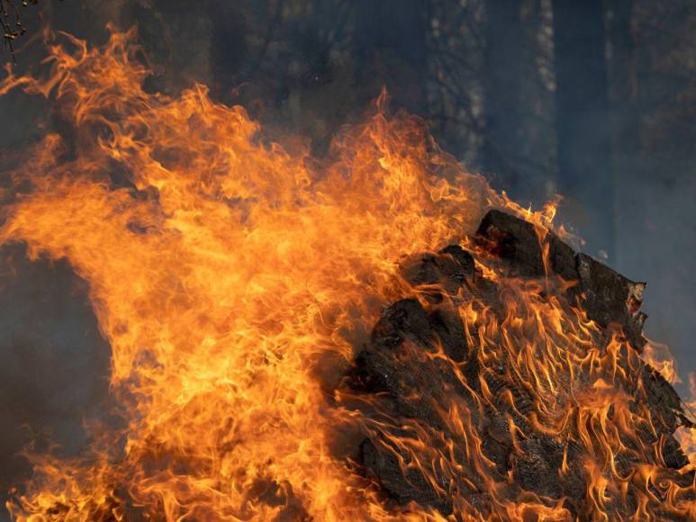 Incendio en California deja evacuados, casas convertidas en ceniza y bosques quemados