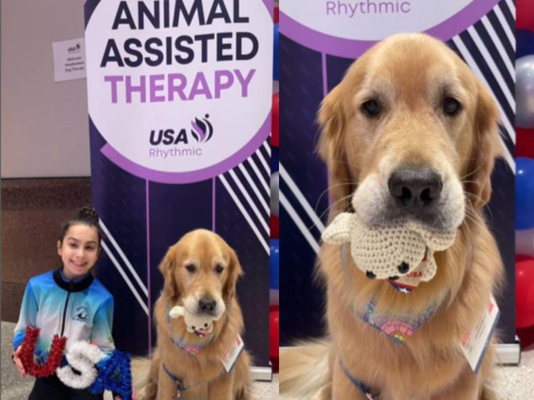 ¿Quién es Beacon, el perro terapia que forma parte del team USA de gimnasia?