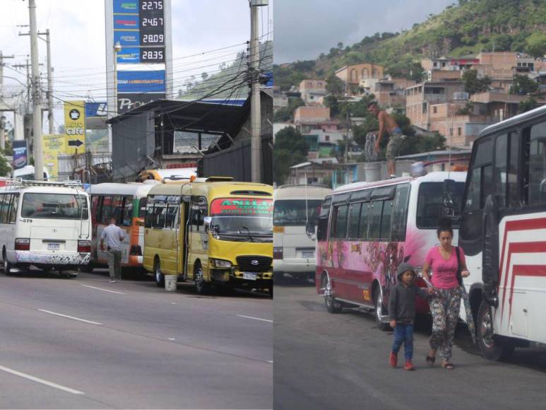 Transportistas cumplen su advertencia y paralizan sus buses en la capital