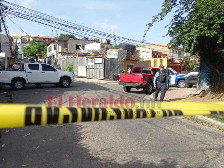 Imágenes del operativo en busca de pistas tras masacre de hijo de expresidente Lobo y tres jóvenes más