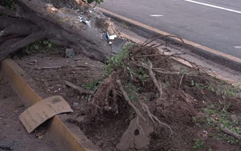 Una docena de accidentes la noche del viernes dejó cinco muertos en Honduras