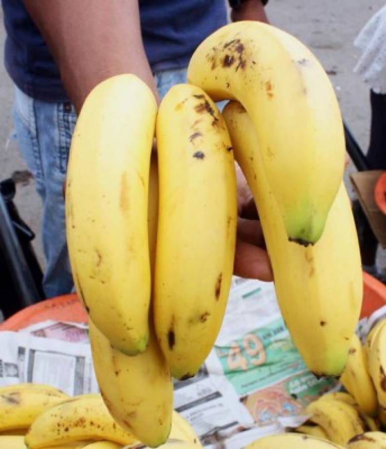 Banano hondureño está en riesgo por poderosa plaga