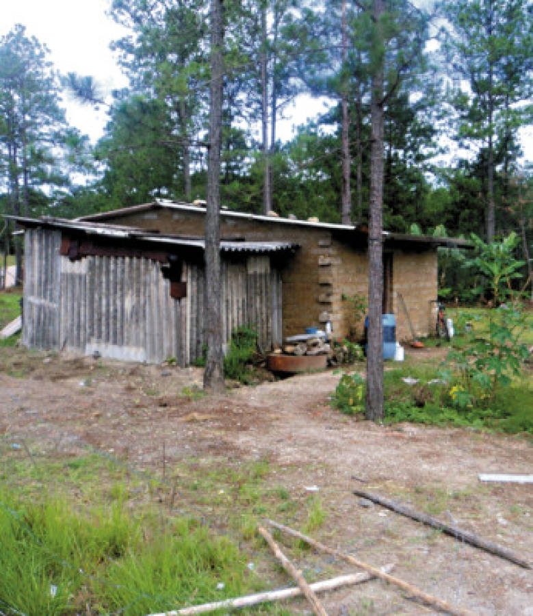 TSC investigará 'legalización” de terrenos invadidos del Instituto de Conservación Forestal