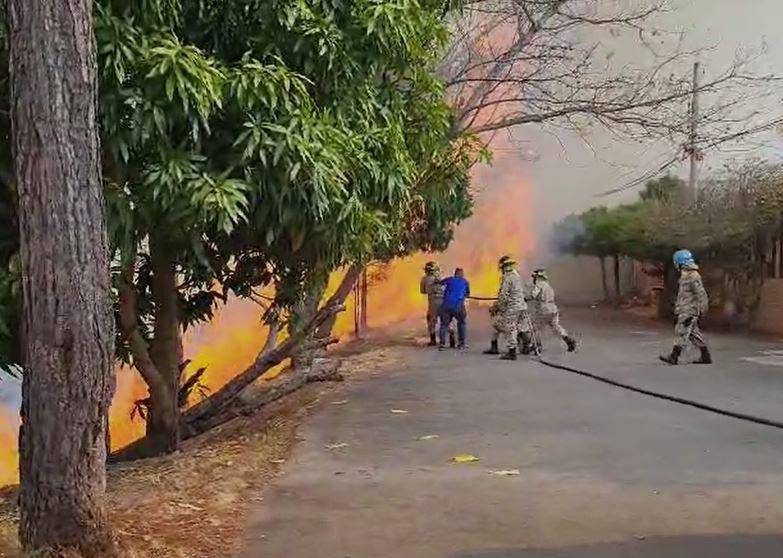 Arde La Tigra: impactantes imágenes del incendio forestal de gran magnitud