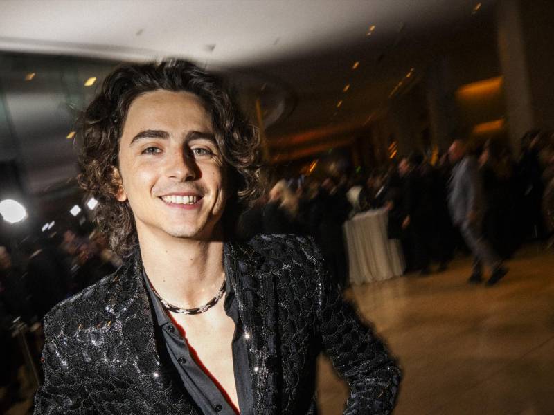 Timothée Chamalet tipifica el look flacucho de muchos jóvenes actores masculinos.